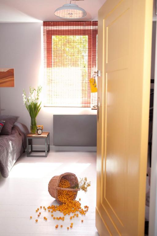 ポズナン Republika Sloneczna Bed & Breakfast 部屋 写真